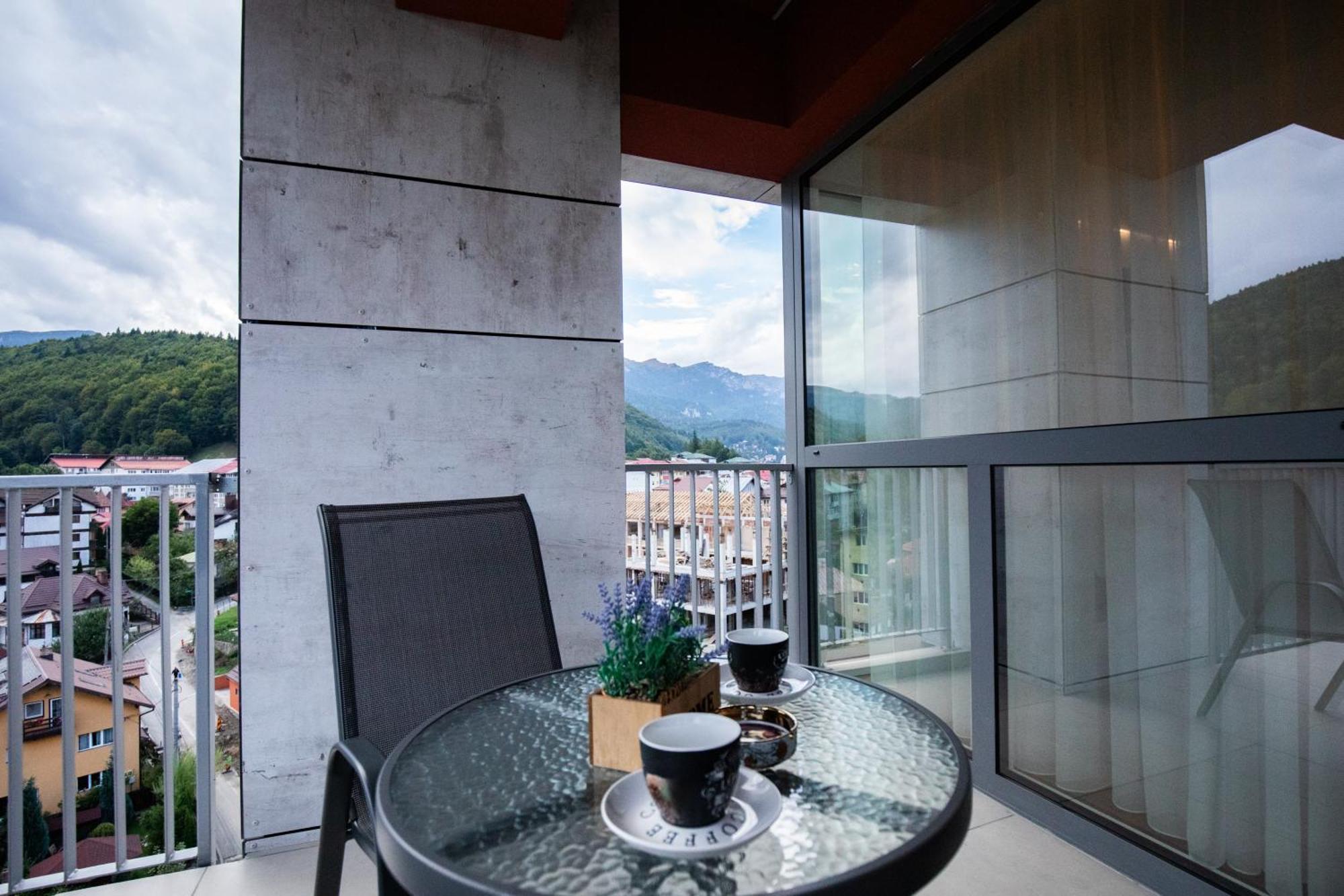 Top View Apartment Sinaia Kültér fotó